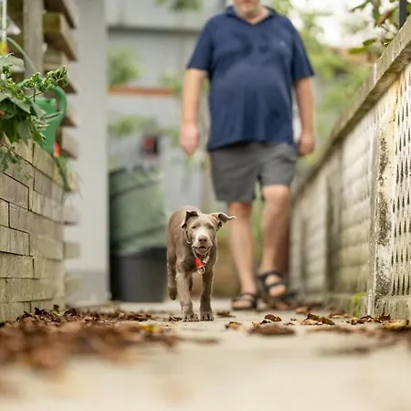Stockers Kleines Dorfhotel Guest house Deutsch Goritz