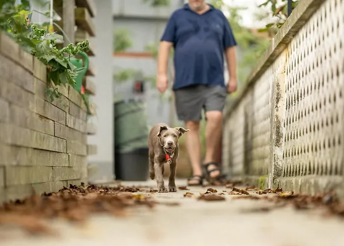 Stockers Kleines Dorfhotel Gasthof Deutsch Goritz
